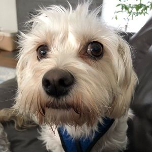 Meet your Posher, Mark